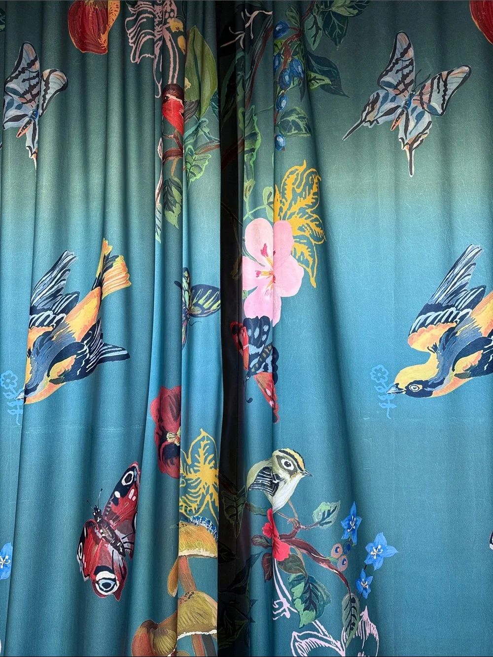 Anthropologie Teal Botanical & Multicolor Bird Print Drapes